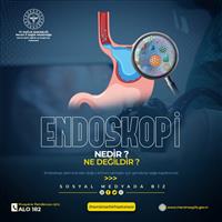 Endoskopi Nedir ? Ne Değildir ?